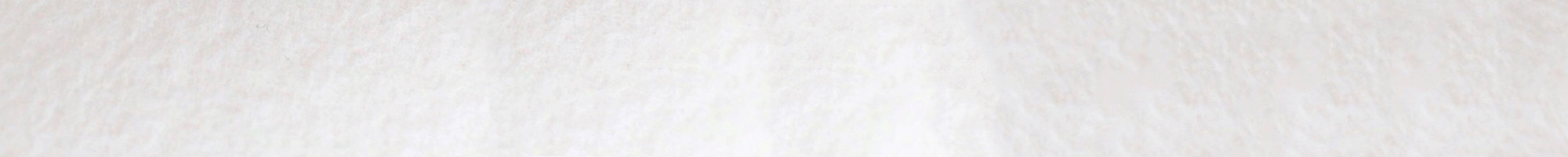 プライバシーポリシー